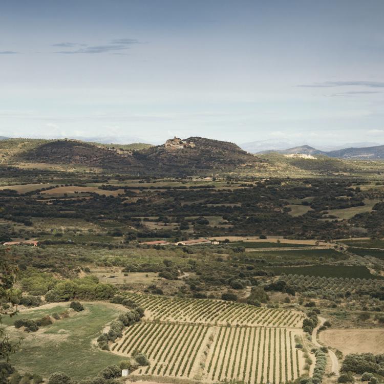 VIÑAS DEL VERO SOMONTANO