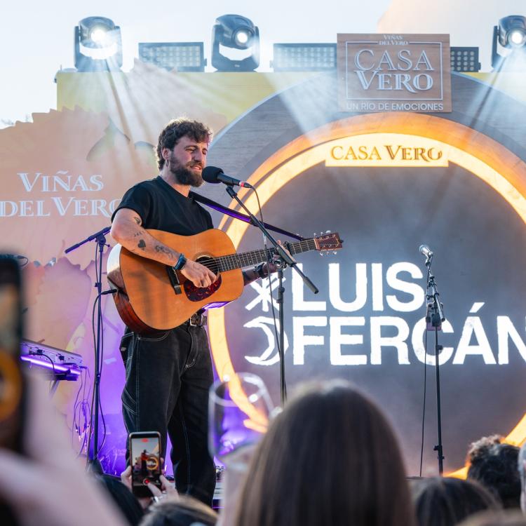 Instante del concierto de Luis Fercan en Casa Vero Zaragonza