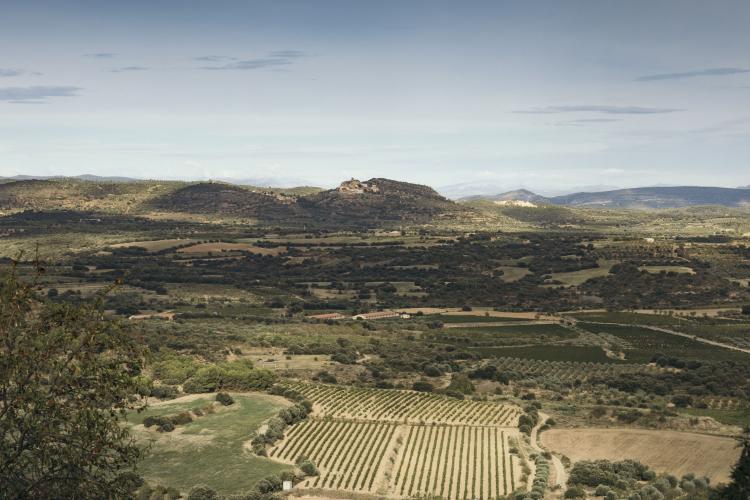 VIÑAS DEL VERO SOMONTANO