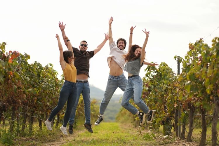 Enoturismo en el Somontano