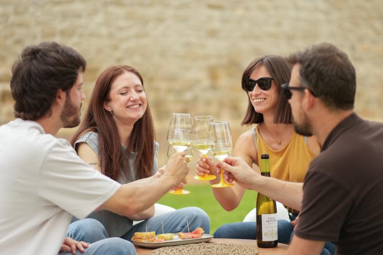 Enoturismo en el Somontano Wine Garden Viñas del Vero
