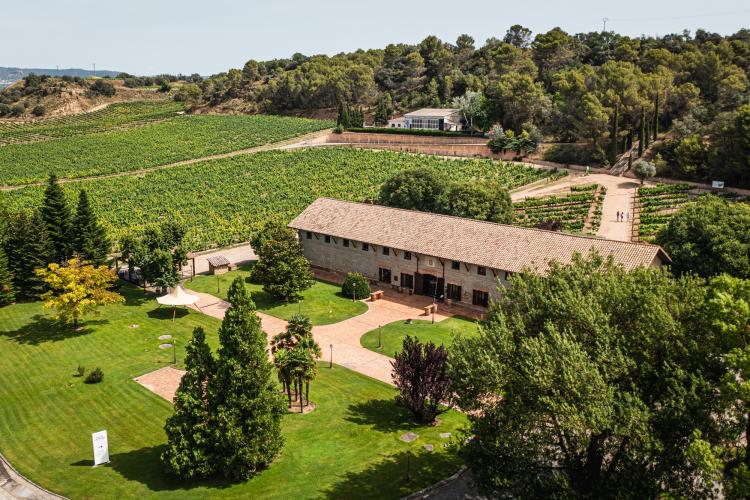 La bodega Viñas del Vero rodeada de viñedos