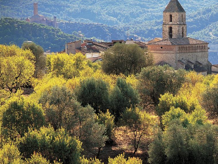 VIÑAS DEL VERO SOTENIILIDAD