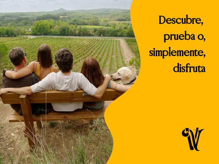 Viñas del Vero Secretos de Bodega 2